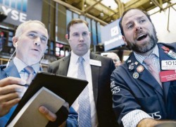 Operadores de bolsa